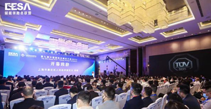 祝賀！瑞達榮獲最佳儲能電池供應商及最佳儲能示范項目兩項榮譽大獎